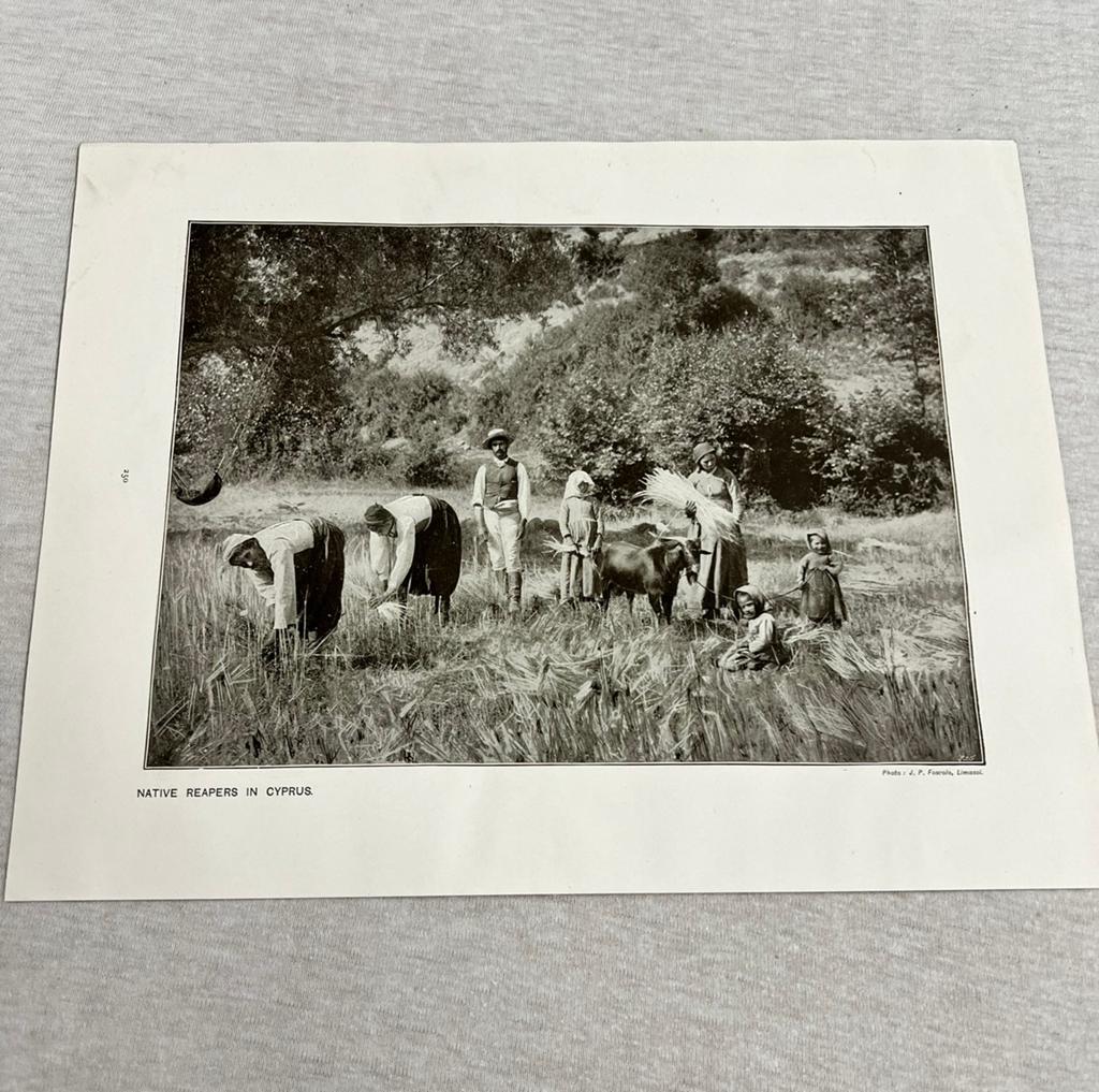 Native harvest reapers in cyprus antiek picture print 1906, Ophalen of Verzenden, Voor 1940, Zo goed als nieuw, Buitenland