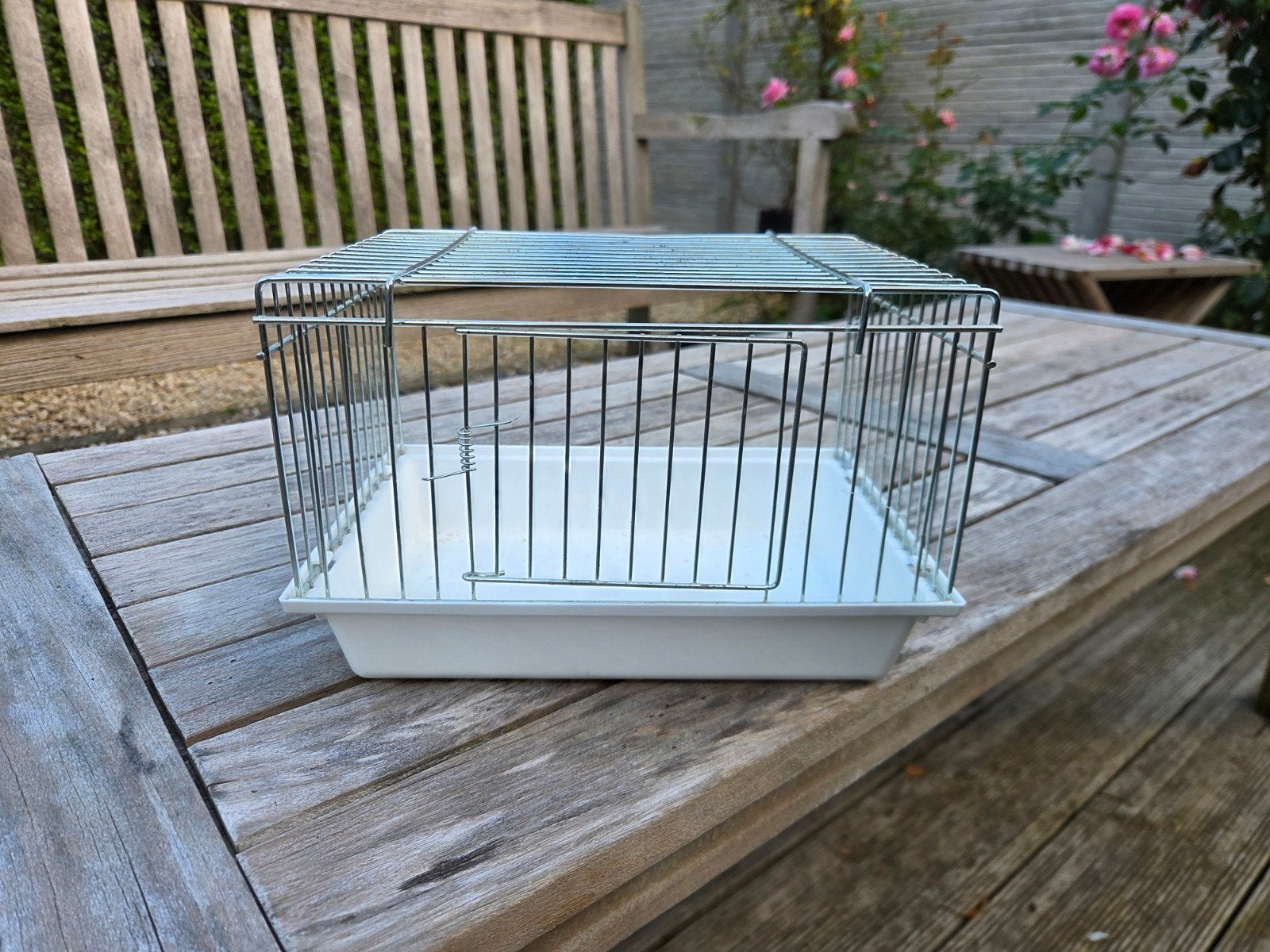 babykooi, Dieren en Toebehoren, Ophalen