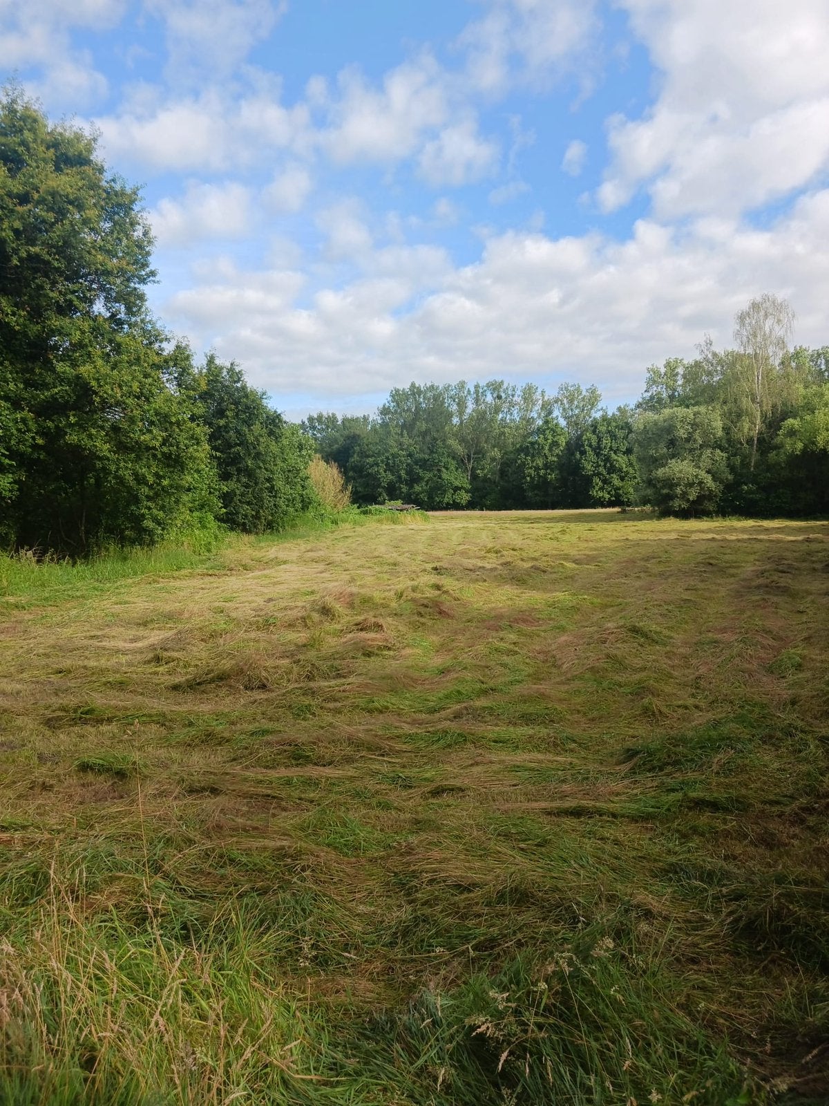 Kleine balen hooi van veld ophalen, Dieren en Toebehoren, Ophalen, Vee