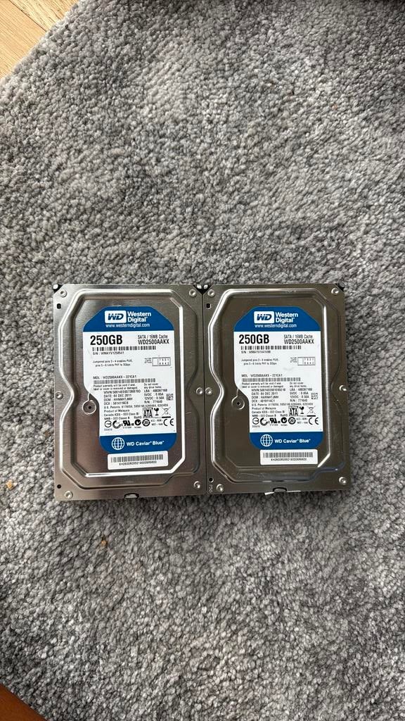 Computer opslag 250 GB 2 maal, Computers en Software, Audio-software, Ophalen of Verzenden, Zo goed als nieuw