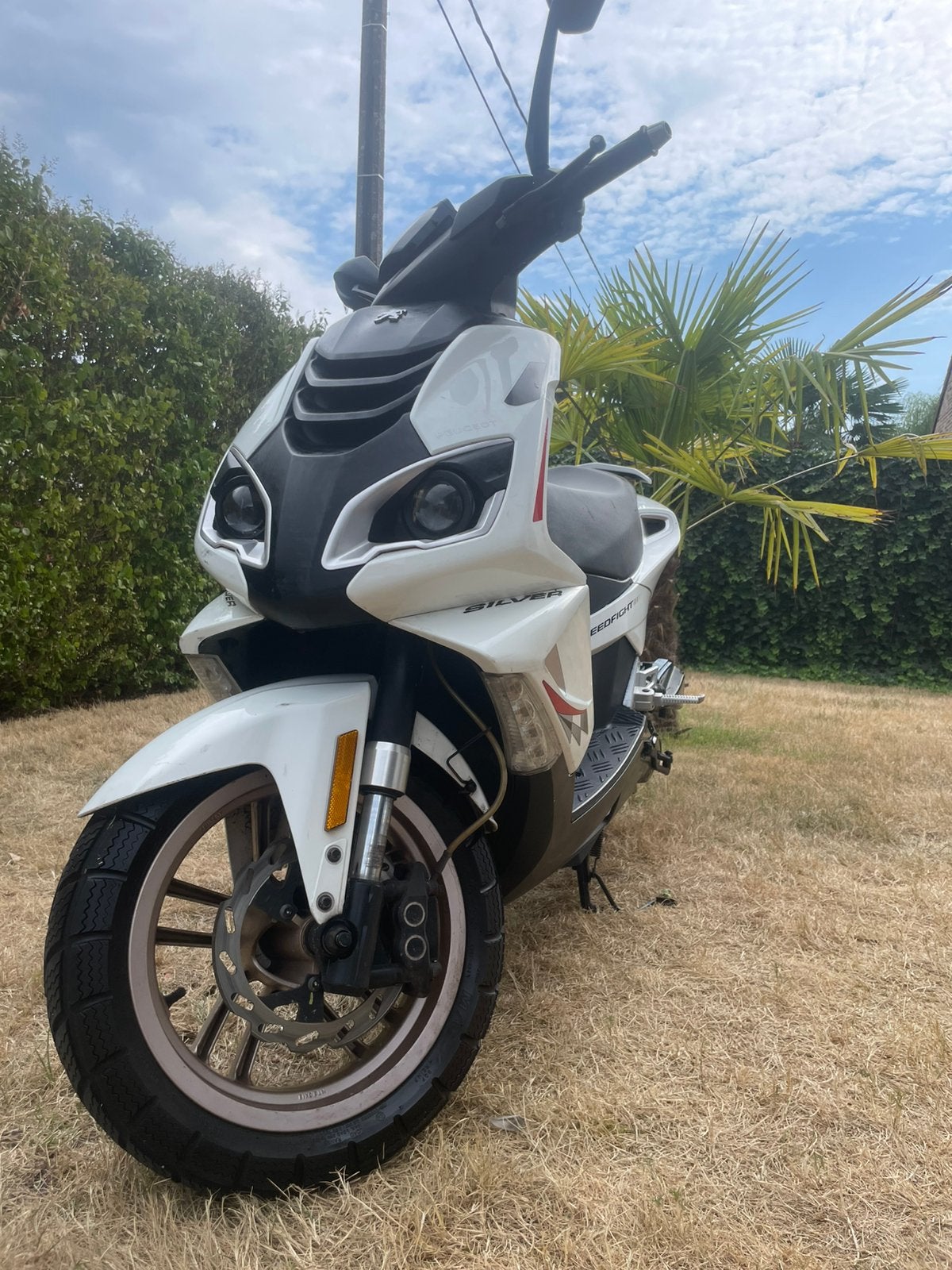 Peugeot speedfight A klasse, Ophalen, Gebruikt, Klasse A (25 km/u), 49 cc