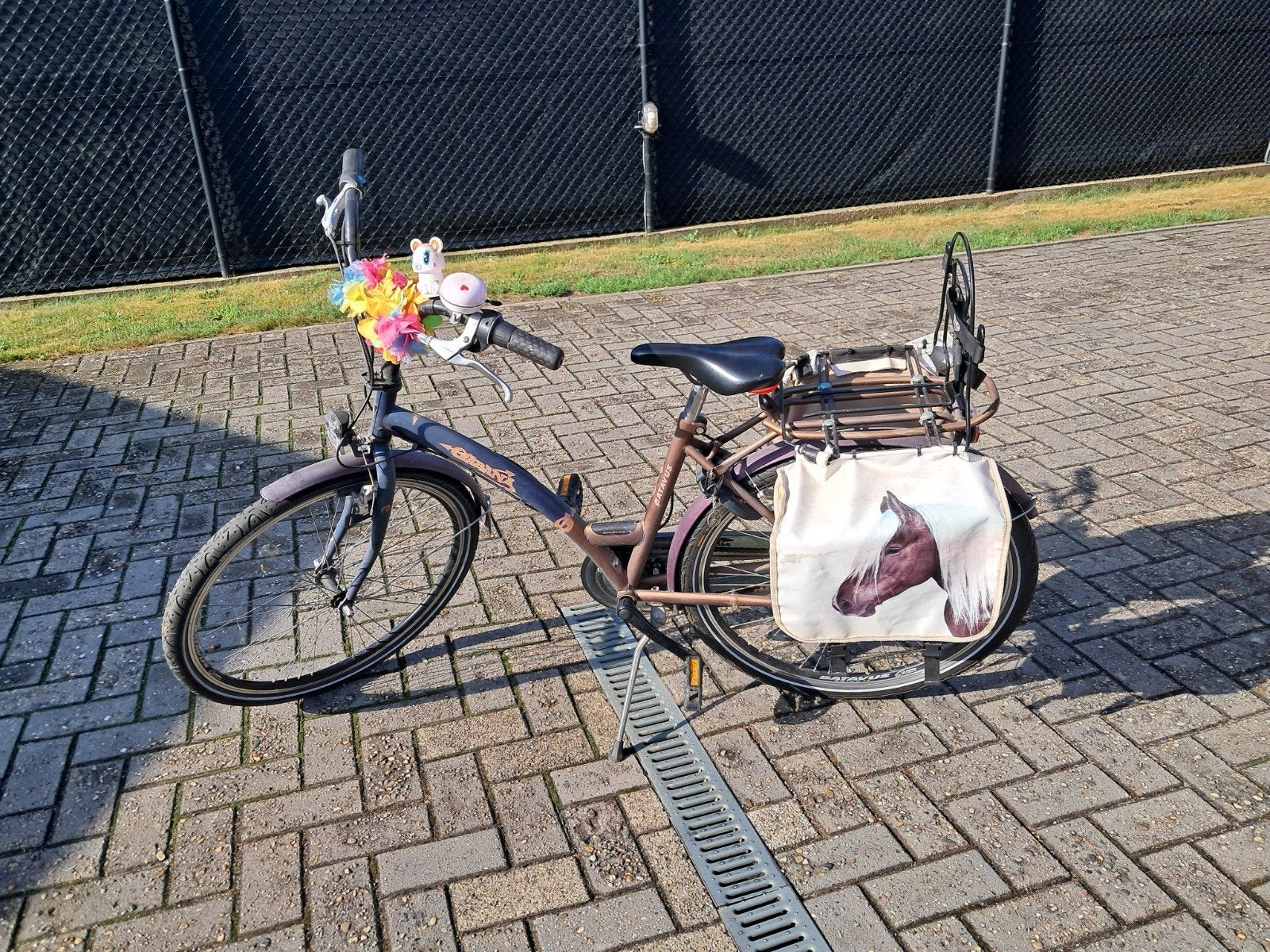 meisjes fiets, Fietsen en Brommers, Fietsen | Dames | Omafietsen, Ophalen, BATAVUS