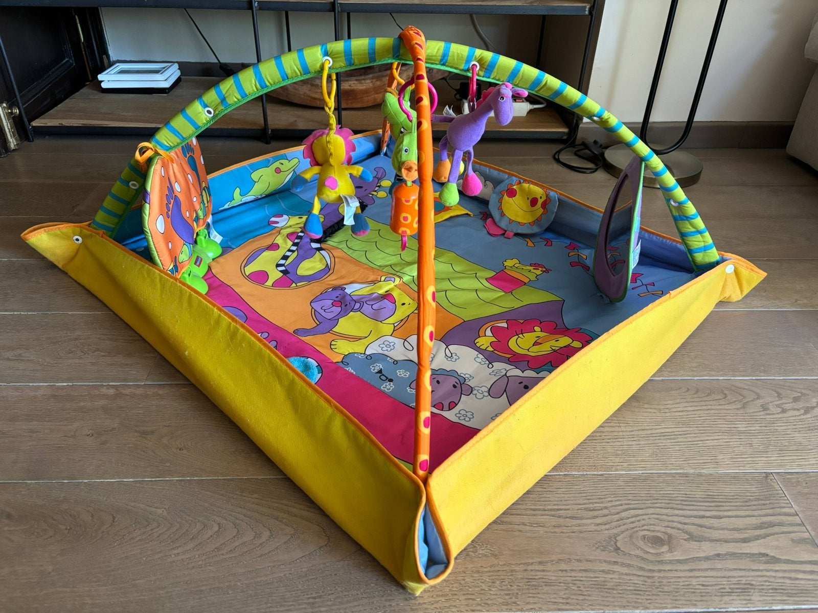Baby speelmat met boog, Kinderen en Baby's, Ophalen, Gebruikt