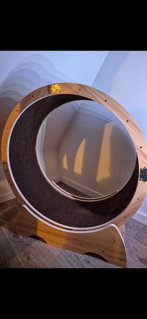 Roue d'exercices pour chat, Enlèvement, Comme neuf
