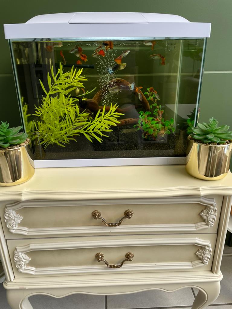 Super fish aquarium 50 start, Dieren en Toebehoren, Ophalen, Pomp, Zo goed als nieuw, Filter
