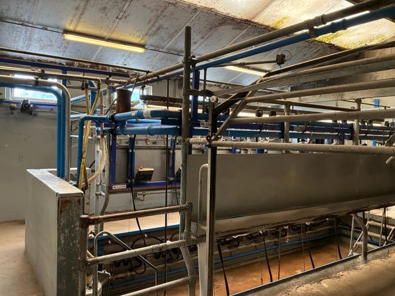 Installation de salle de traite Alfa Laval 2x8