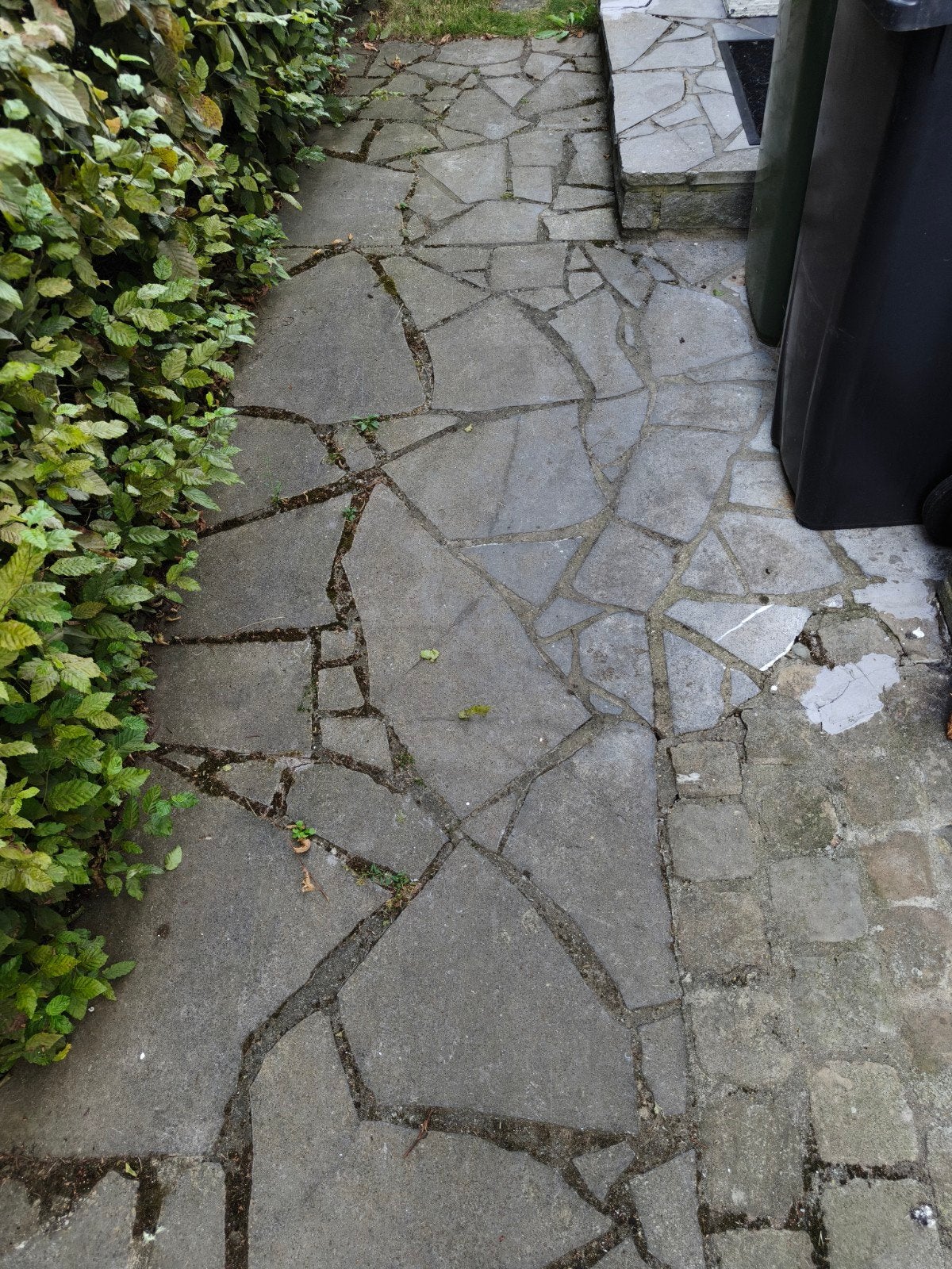 gravats +- 22 m², Enlèvement
