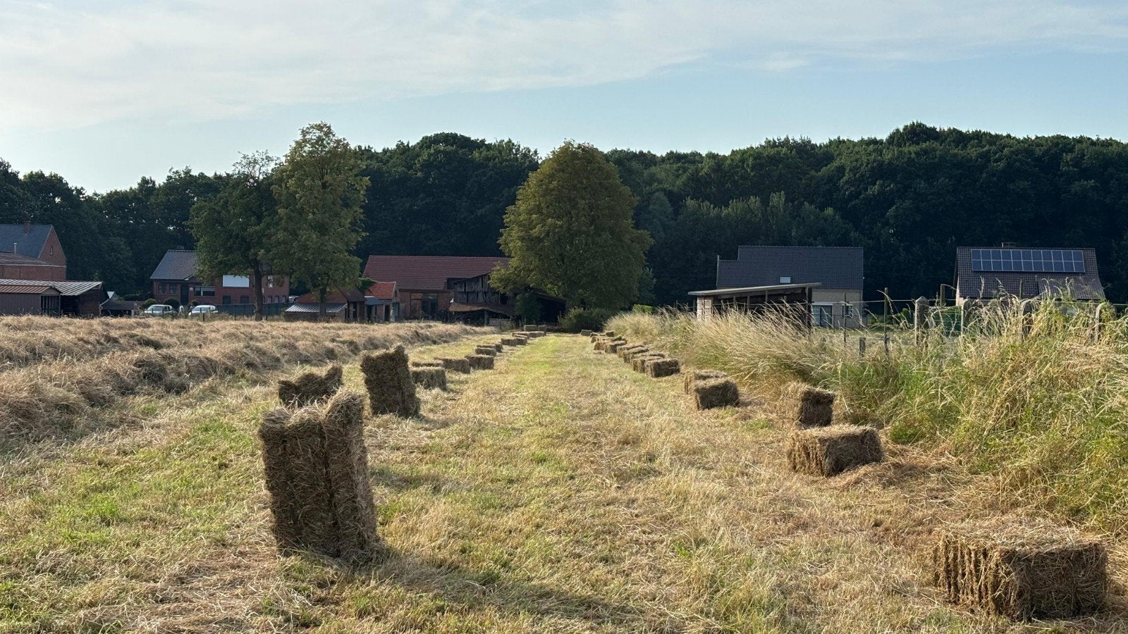 Kleine pakjes hooi, Enlèvement
