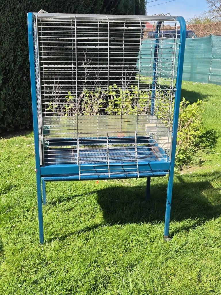 cage perroquet, grande perruche