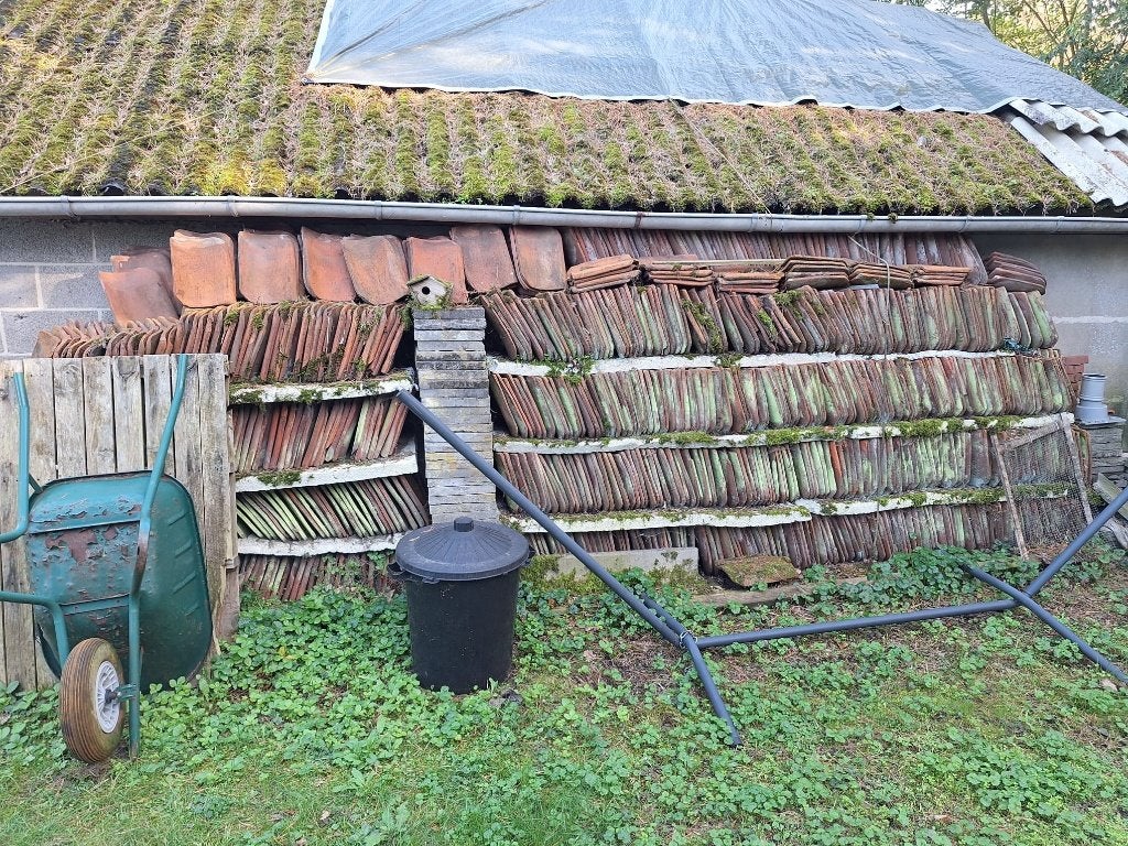 1.300 oude Boomse dakpannen, Doe-het-zelf en Bouw, Ophalen, Gebruikt, Steen of Klei, 15 m² of meer