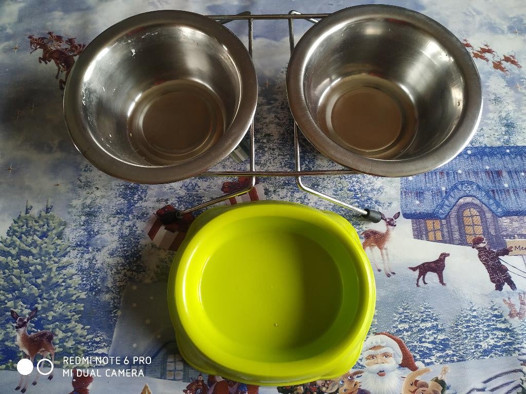 Accessoires pour chaton et chat, Enlèvement