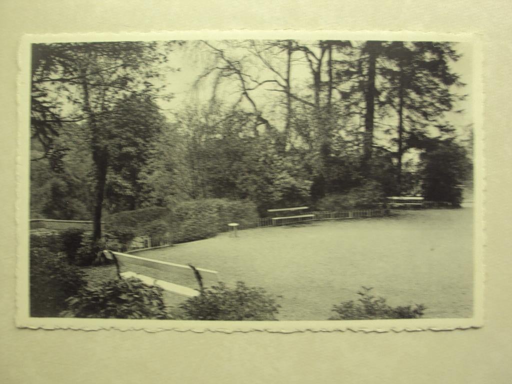 56434 - CHIMAY - INSTITUT DES SOEURS DE N-D - PLAINE DE JEUX, Verzenden