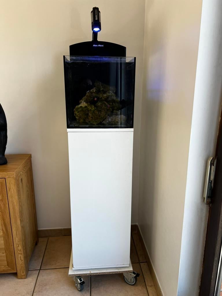 Aquarium d’eau de mer, Animaux & Accessoires, Poissons | Aquariums & Accessoires, Enlèvement ou Envoi, Utilisé, Aquarium d'eau de mer rempli