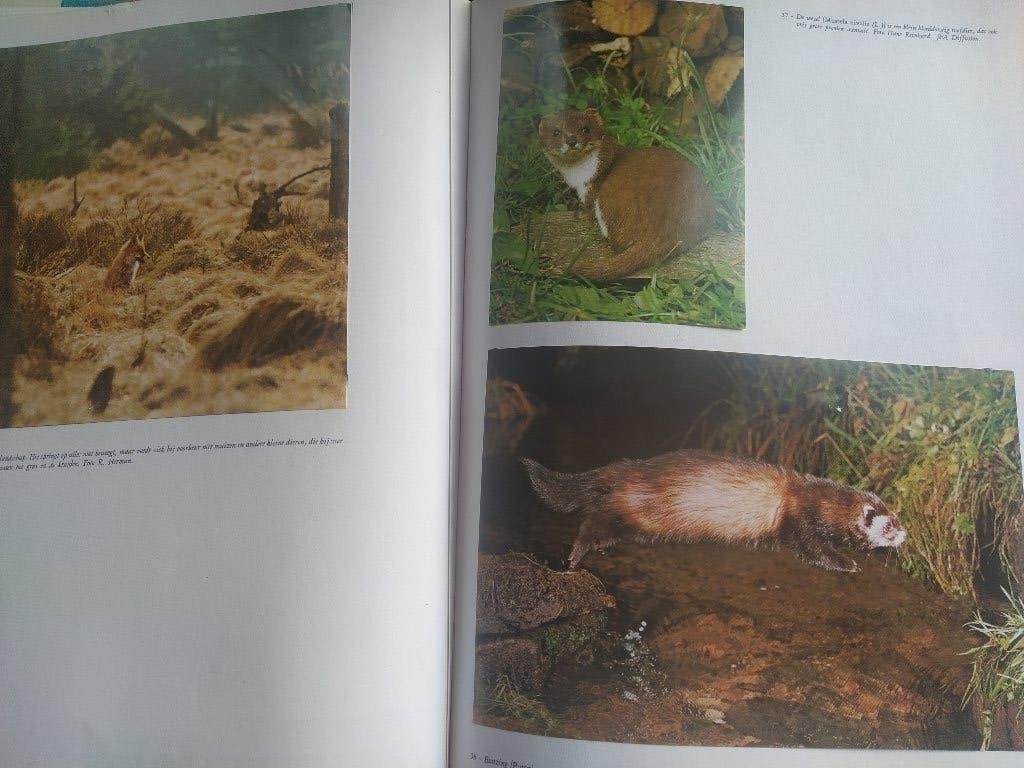 boek: natuur-en vogelreservaten/Hoge Venen & De Kempen, Livres, Nature, Enlèvement ou Envoi, Utilisé, Nature en général