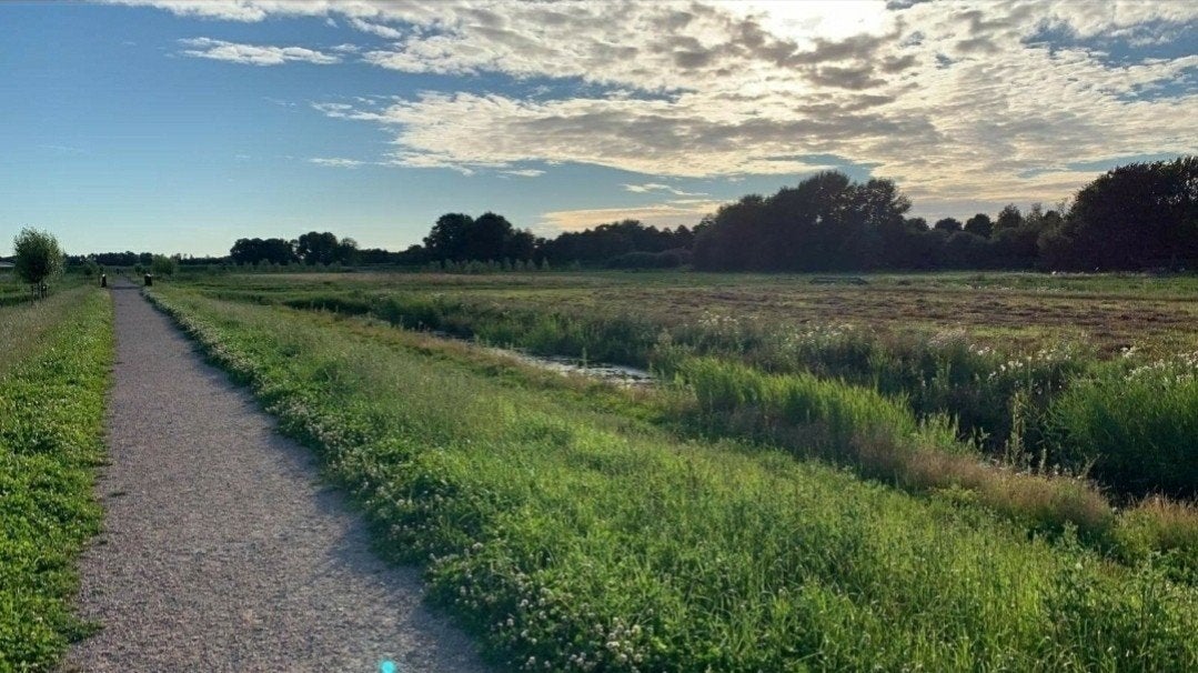 Gezocht: paard om recreatief te rijden