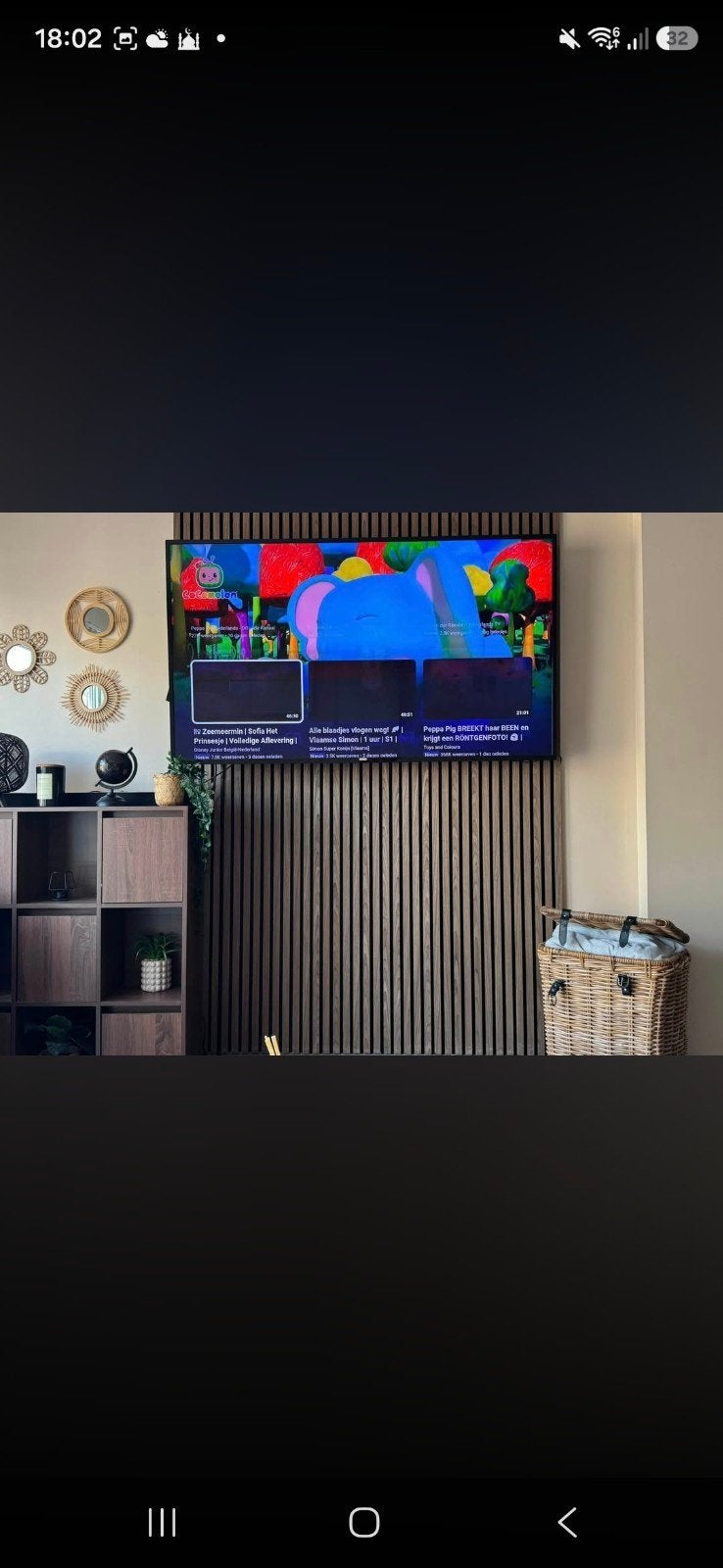 Philips  Smart tv 65 inch, Ophalen