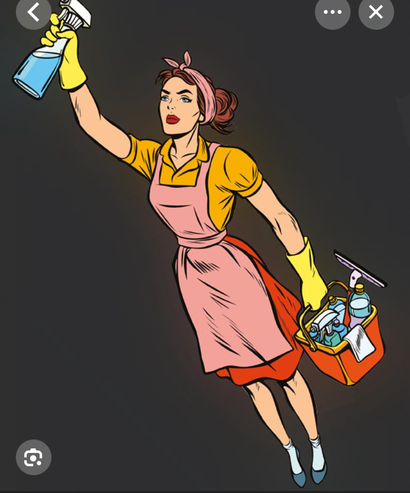 Schoonmaak aan huis, Overige vormen