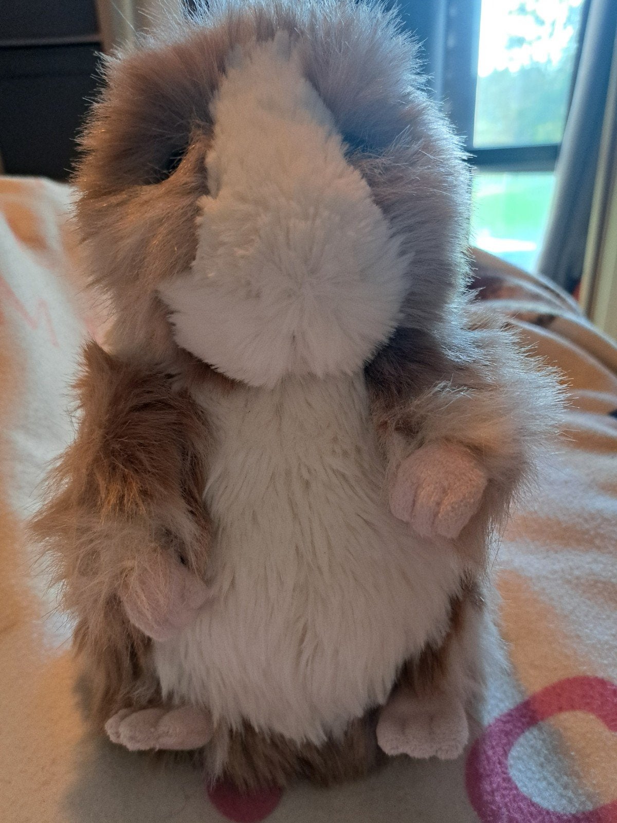 Knuffel cavia Daphne, Ophalen, Nieuw, Overige merken