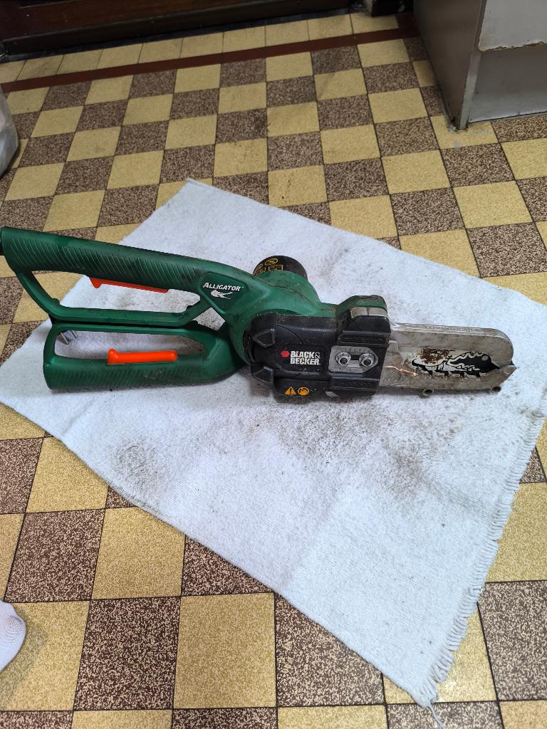 Coupe branche électrique, Tuin en Terras, Takkenscharen, Ophalen