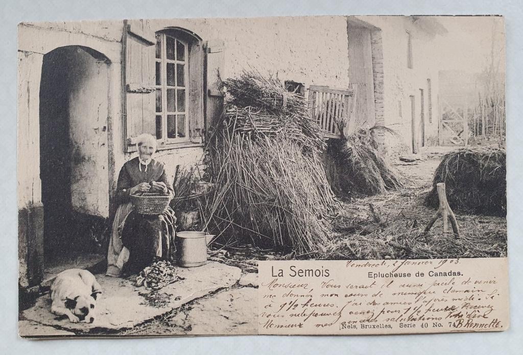 La Semois ancienne carte postale éplucheuse de canadas, Collections, Enlèvement ou Envoi