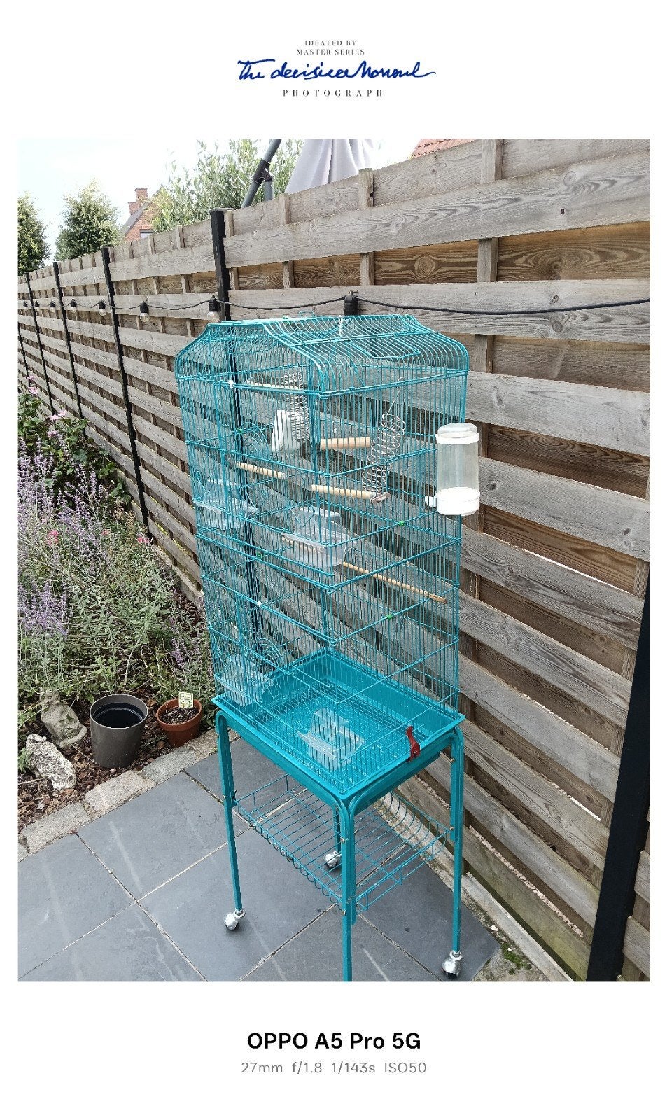 vogelkooi, Ophalen of Verzenden, Gebruikt, Eten en Drinken