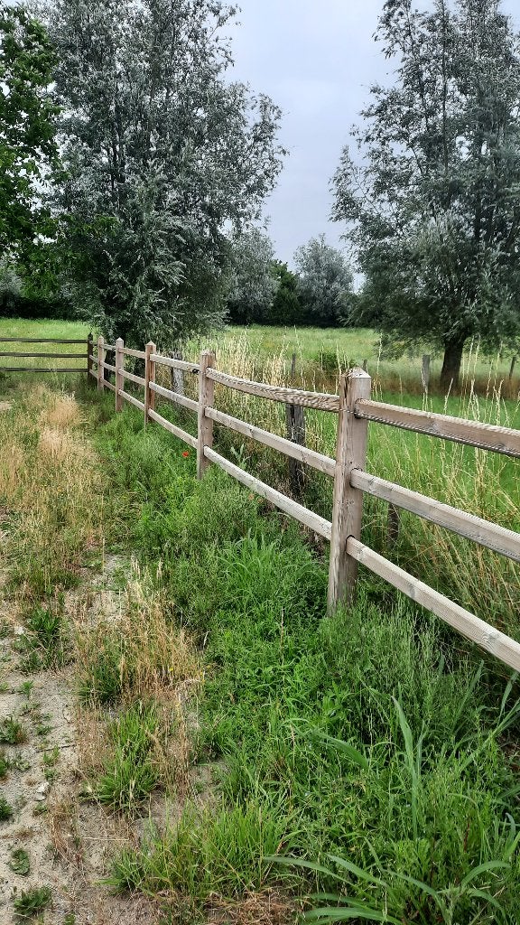 omheining "De Sutter", Dieren en Toebehoren, Stalling en Weidegang, Weidegang, 4 paarden of pony's of meer