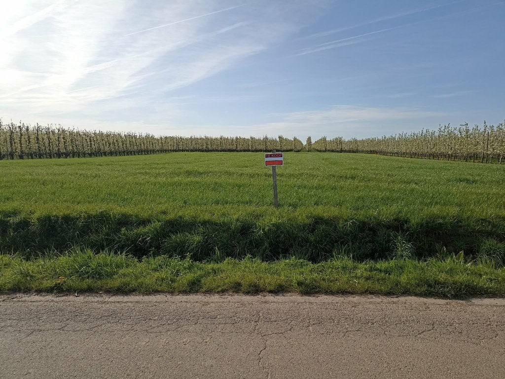 landbouwgrond, Immo, Tongeren-Borgloon, Jusqu'à 200 m²