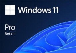 USB installatie Windows 11 pro retail, Computers en Software, Ophalen of Verzenden, Nieuw, Windows