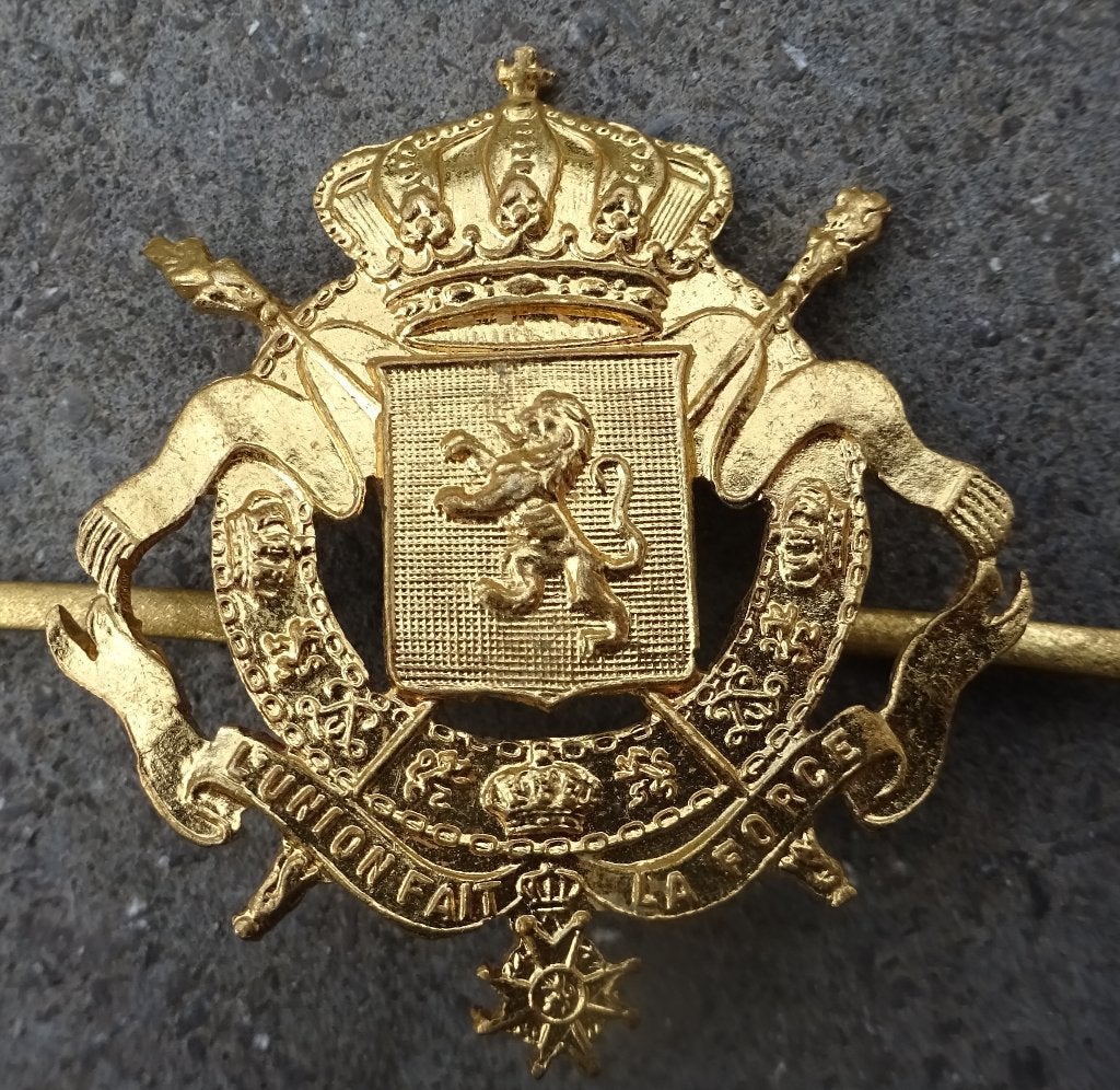 TRANSPORTS VICINAUX BELGES - INSIGNE DE COIFFURE, Envoi, Utilisé, Tram, Autres types