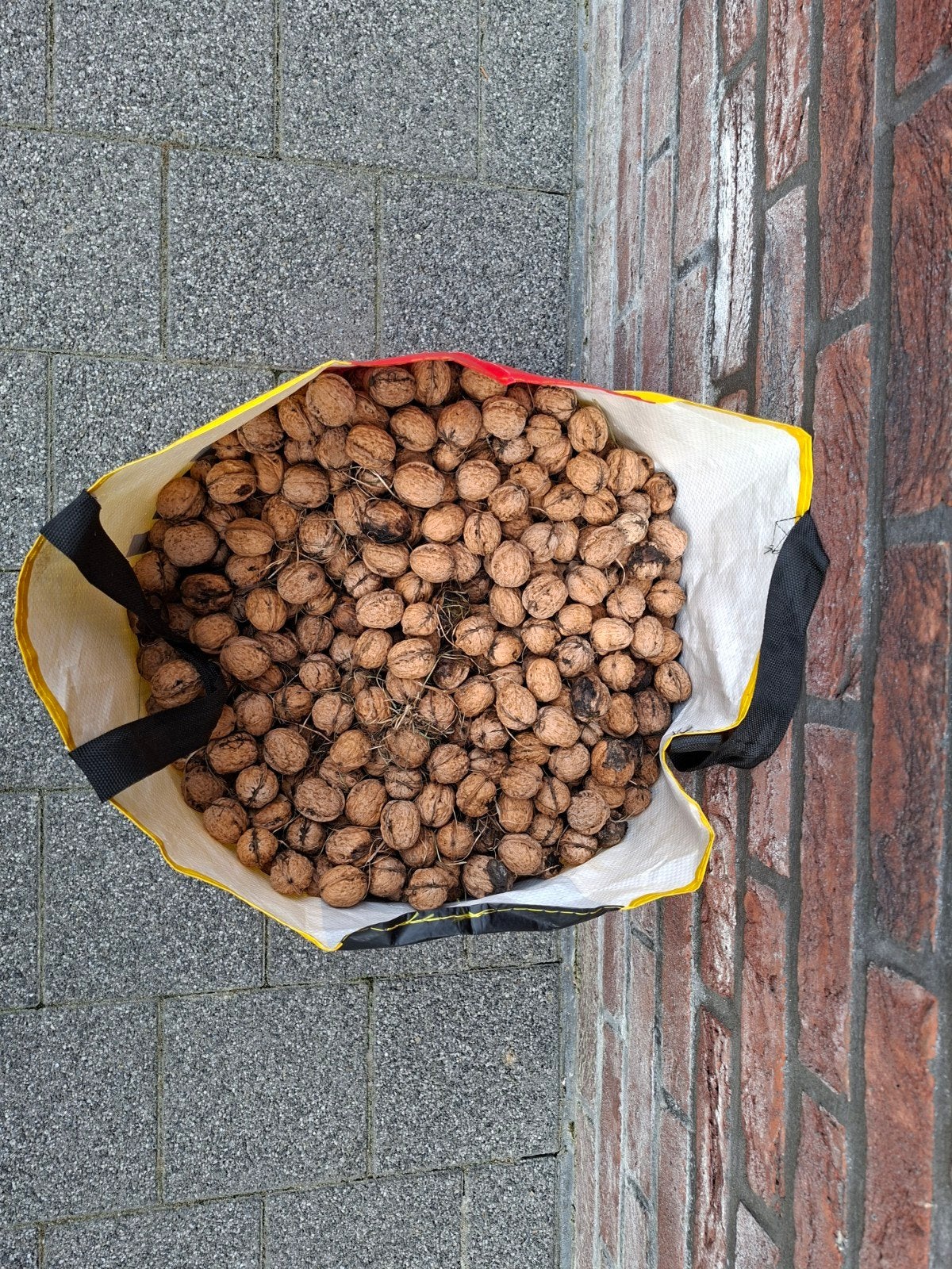 walnoten te koop, Ophalen