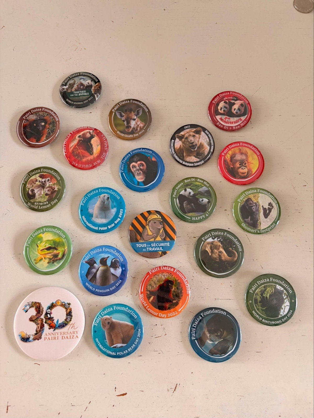 Badges Fondation Pairi Daiza, Enlèvement