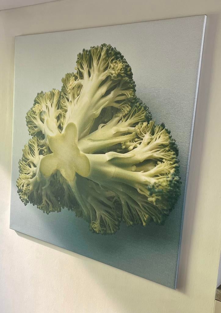 Foto van broccoli op doek (ideaal voor in keuken), Ophalen, 125 cm of meer, Zo goed als nieuw, Foto of Poster