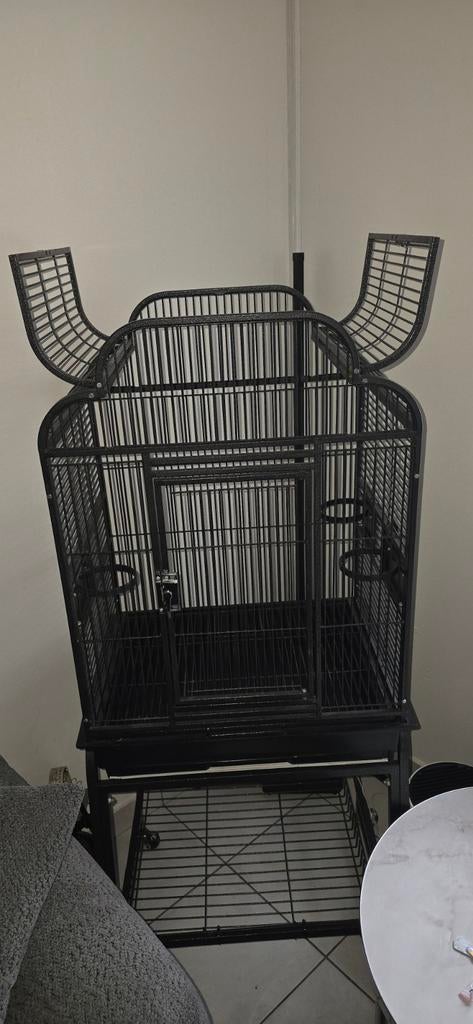 Opwijk, Dieren en Toebehoren, Ophalen of Verzenden