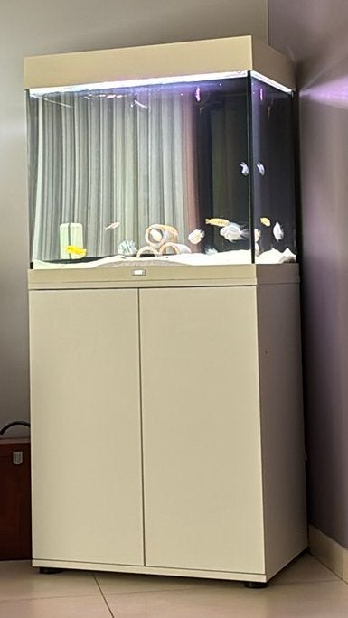 Juwel lido 120 + kast + filter + led lampen, Dieren en Toebehoren, Ophalen of Verzenden, Zo goed als nieuw, Filter, Juwel