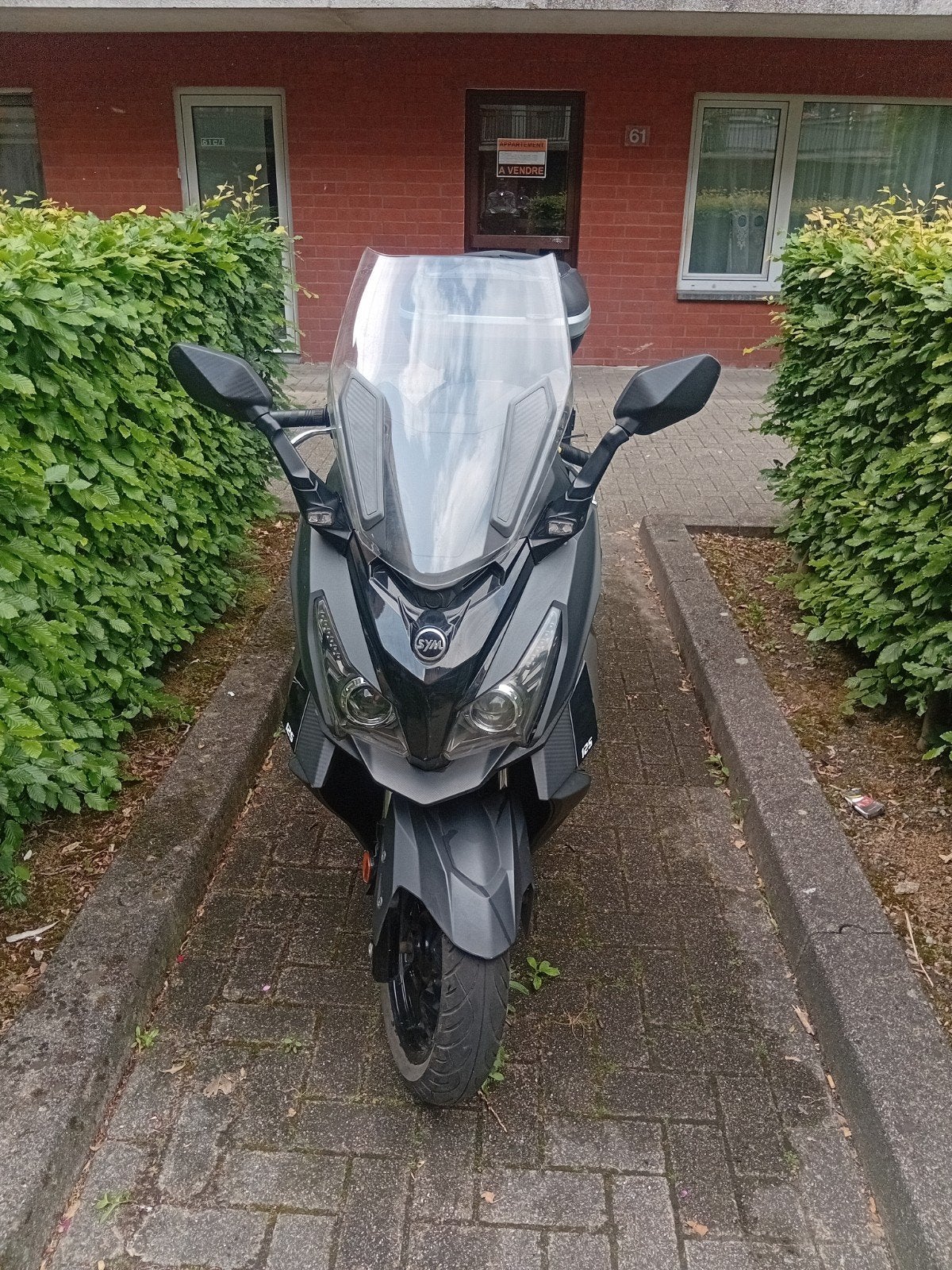 Sym cruisym 125