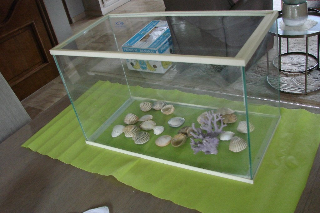visbokaal :glas, Dieren en Toebehoren, Ophalen, Gebruikt, Vissenkom
