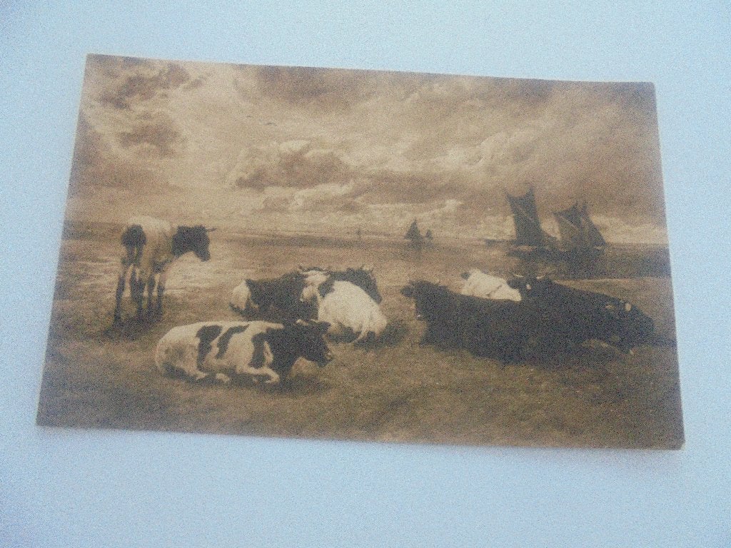 koeien  - 10 postkaarten, Verzamelen, Postkaarten | Dieren, Verzenden, 1920 tot 1940, Gelopen, Overige soorten