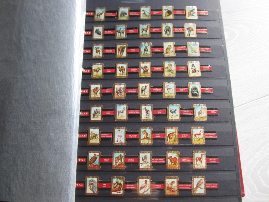 Collection de bagues de cigare, Enlèvement ou Envoi, Comme neuf, Bagues de cigare