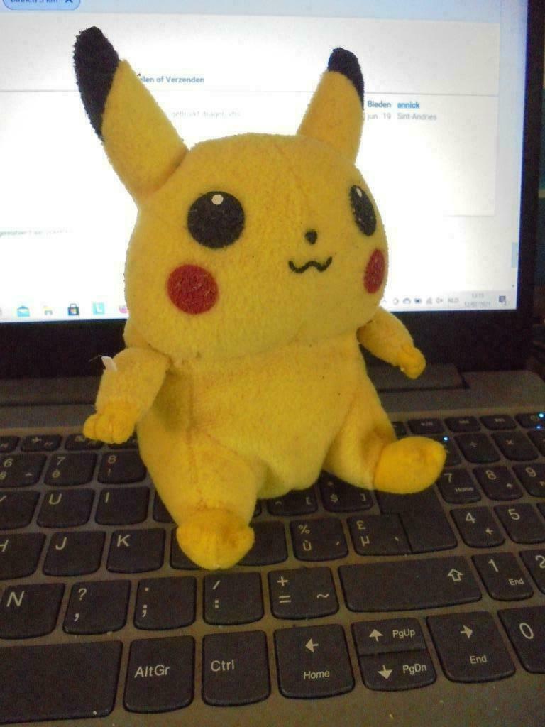 pokemon, Enlèvement ou Envoi, Comme neuf, Film, Figurine ou Poupée