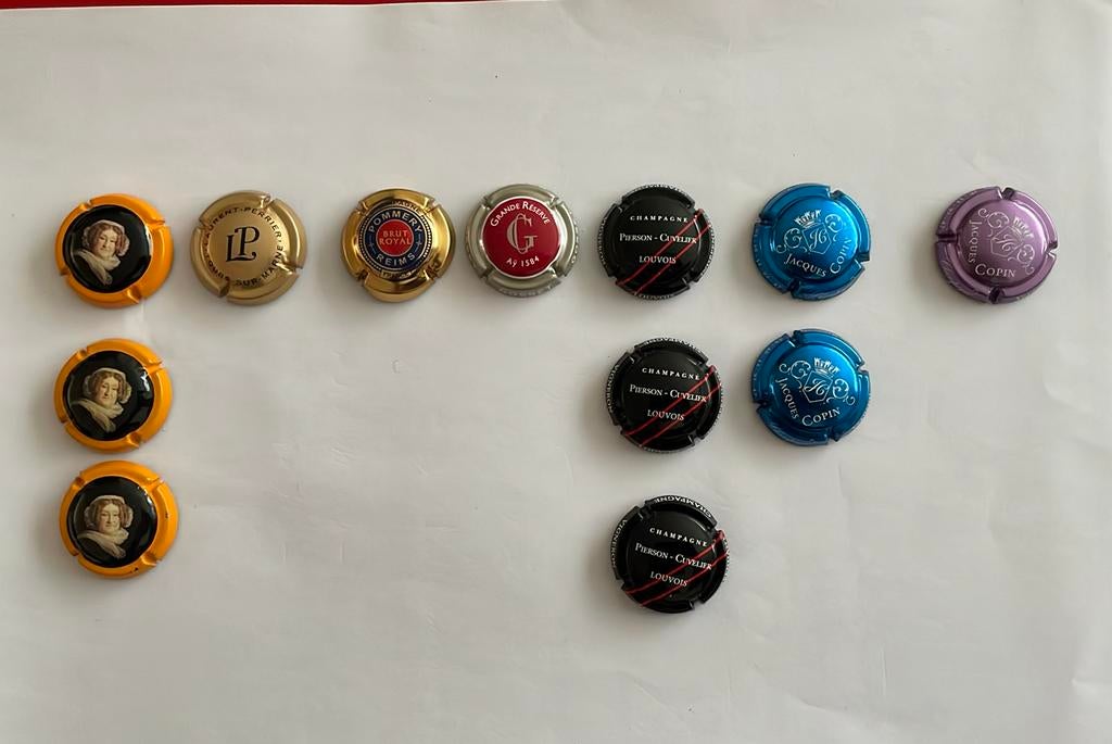 12 capsules Champagne (diverse merken!), Verzamelen, Ophalen of Verzenden, Champagne