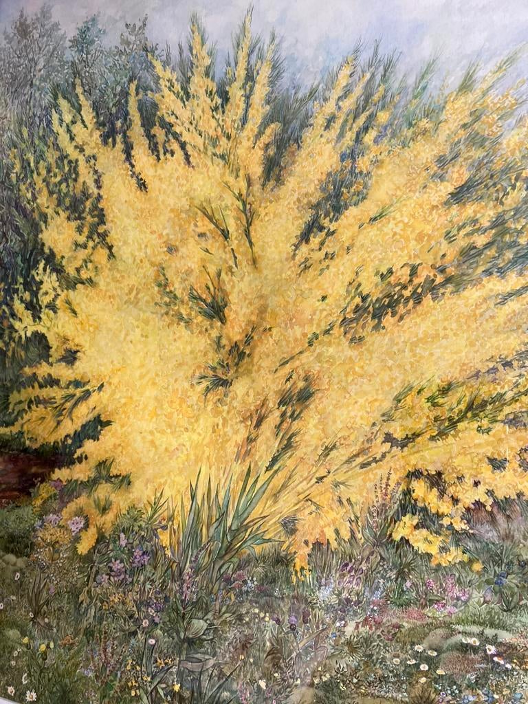 Jan Keustermans - grote aquarel 2, Ophalen