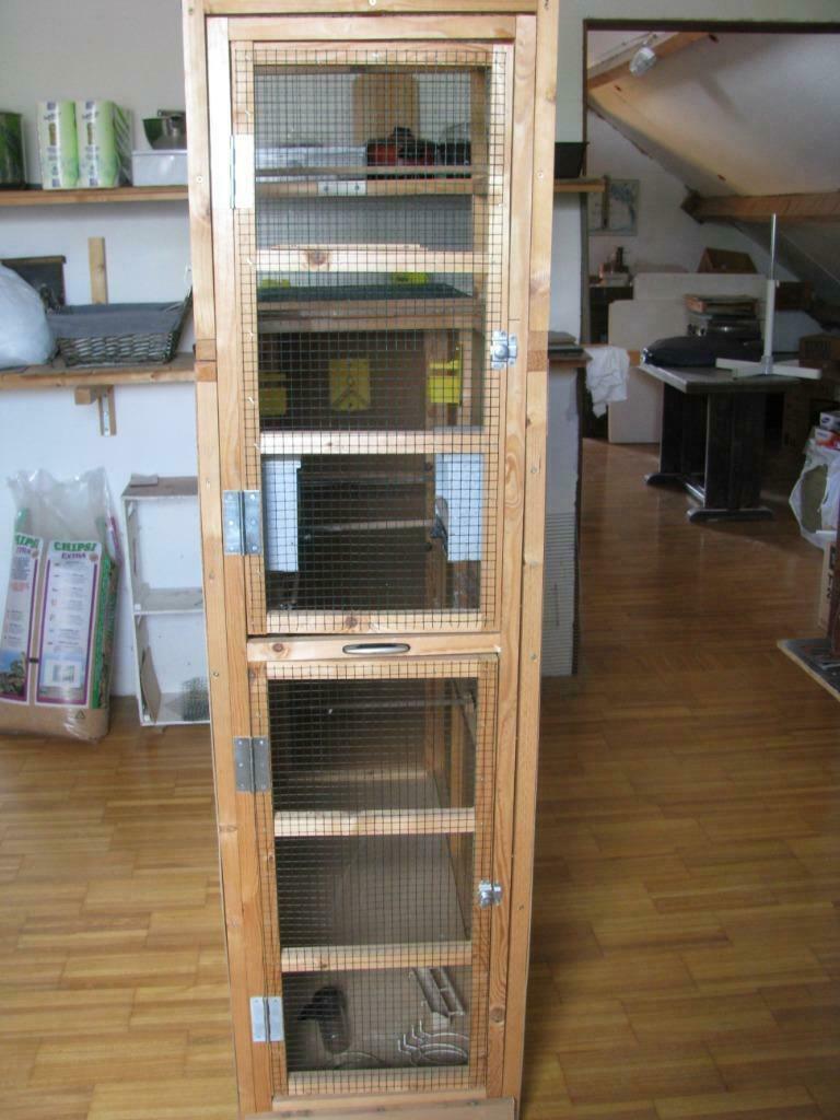 A vendre 01 bloc volière pour canaris, Ophalen, Nieuw, Hout, Volière