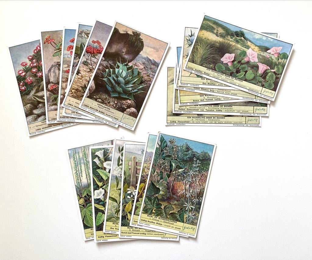 Liebig chromo’s : 3 setjes thema flora, Ophalen of Verzenden, Zo goed als nieuw