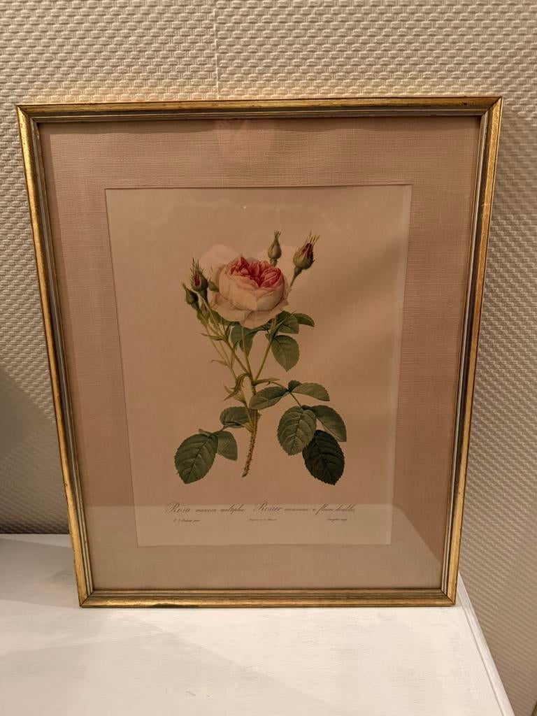 Gouden frame met rozen, Ophalen