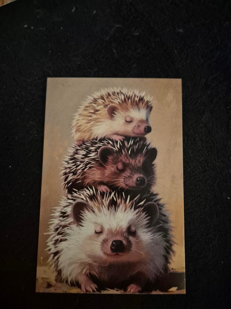 Postkaart egels, Verzamelen, Ophalen of Verzenden