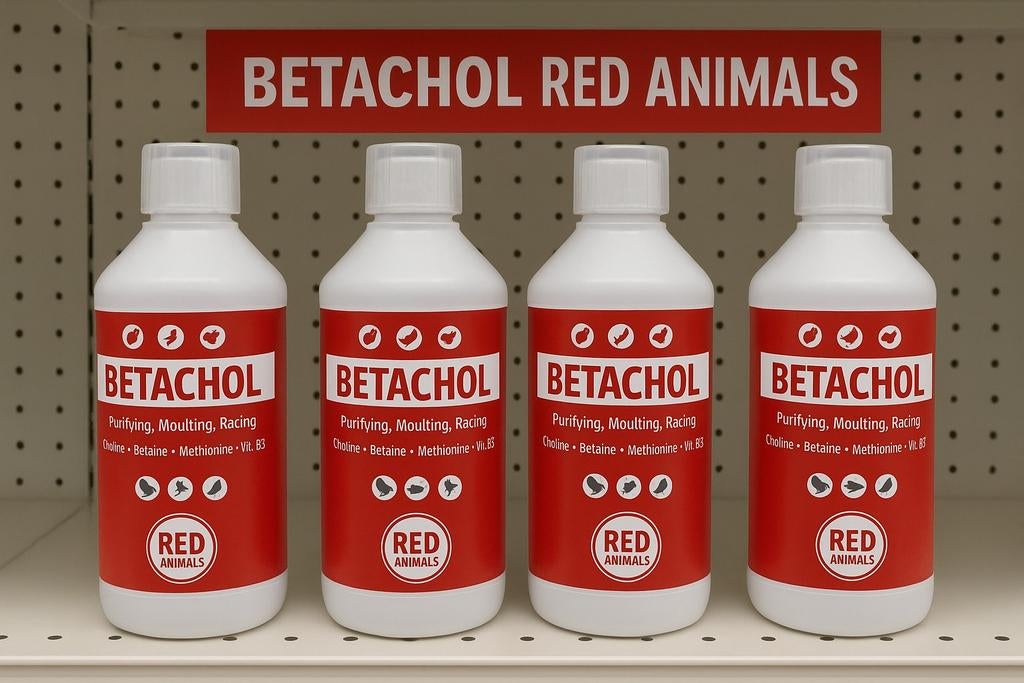 Betachol ( B12-vitamines, lever, verenkleed) 500ml - Winkel, Ophalen