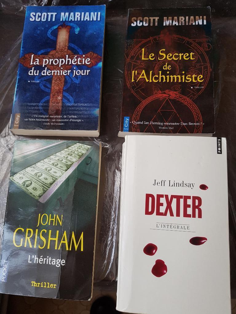 Lot de livres de poche (Mariani, Grisham, Lindsay), Ophalen of Verzenden, Gelezen