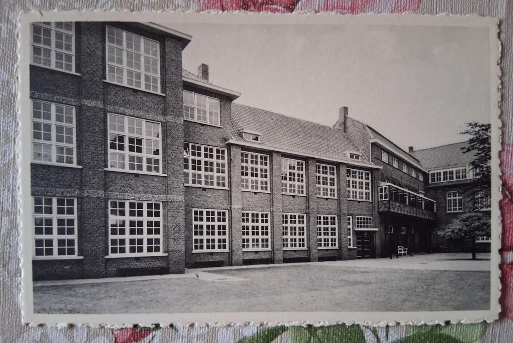Vintage Postkaart Torhout School, Verzamelen, Postkaarten | België, Ophalen of Verzenden