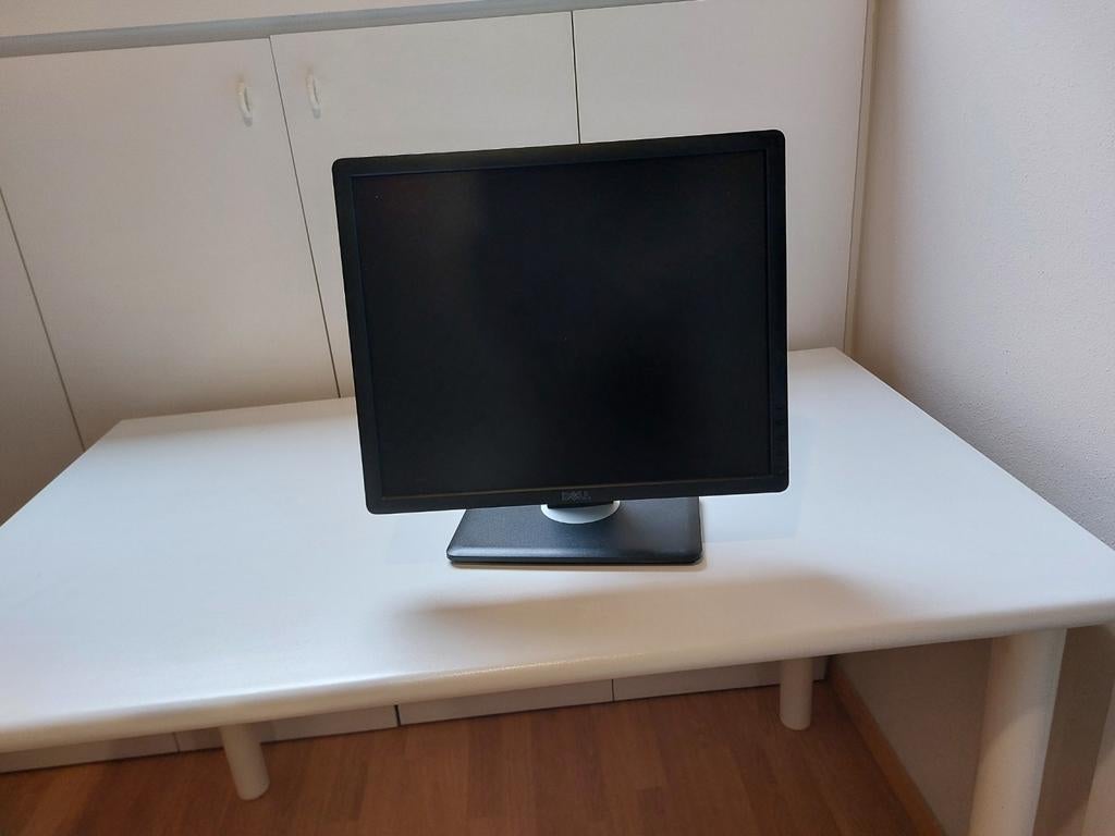 Dell 19 inch. Display., Computers en Software, Ophalen, VGA