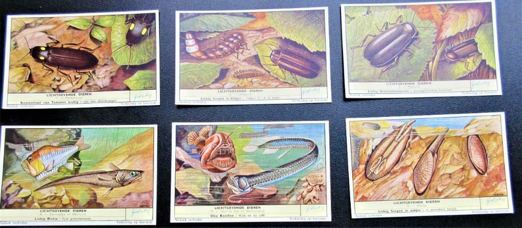 Liebig prentjes "Lichtgevende dieren", Verzamelen, Foto's en Prenten, Ophalen of Verzenden, Zo goed als nieuw, 1940 tot 1960, Dier